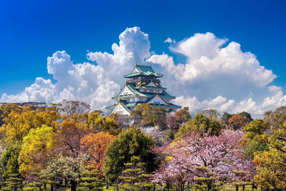 The castle played a crucial role in Japanese history during the unification period and now houses a comprehensive museum showcasing samurai culture, castle history, and Hideyoshi's life